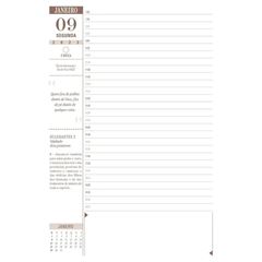 AGENDA ANUAL DIVINA LUZ 192FLS CX.02 12