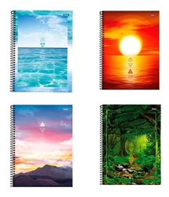 CADERNO UNIVERSITARIO 4X1 160FLS 4 ELEME