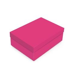 CAIXA C/TAMPA PINK CORE G 46X33X14
