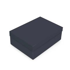 CAIXA C/TAMPA TWILIGHT BLUE G 46X33X14