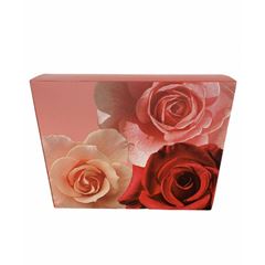 CAIXA TAMPA/FUNDO NEW BELLE G 30X24X6