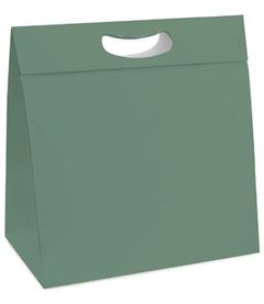 CAIXA NEW PLUS NATURAL GREEN P