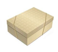 CAIXA RET C/TAMPA RELEVO TWEED OURO G