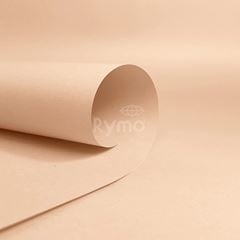 PAPEL COLORPLUS EGITO AF 120GM2 C/200FL