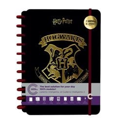CADERNO CI HARRY POTTER GRANDE C/80FL
