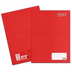 CADERNO BROCHURA UNIV STIFF VM C.D C/48