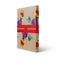 PAPEL CHAMEQUINHO CARTOLINA 150G 500X660