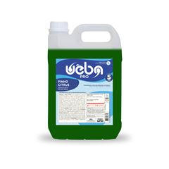 DESINFEX PINHO CITRUS DF-1 5L