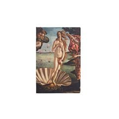 JOURNAL O NASCIMENTO DE VENUS-PONTILHADO