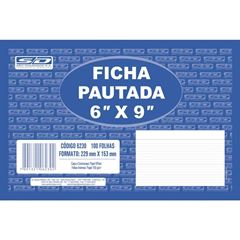 FICHA PAUTADA 6X9 229X153 C/100FL