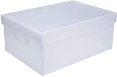 CAIXA ORGANIZ. EXG PLUS CRISTAL C/PGA