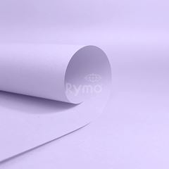 PAPEL COLOR PLUS SAO FRANCISCO 180GM2 66