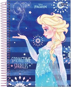 CADERNO ESPIRAL UNIV CD 1X1 96FLS 04/PT 